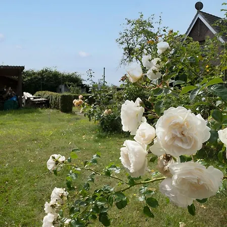 Haus Waldfrieden Ferienhaeuschen Waldfrieden * Haffkrug